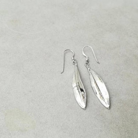 Olive leaves earrings, silver, electroplated drop earrings of olive leaves, real olives leaves earrings with sterling hooks 2